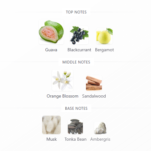 Hawas Sapphire x FBFragrances Edition