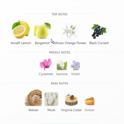 Vibrant Vetiver Delight