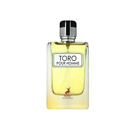 Toro Pour Homme Decant Sample - Inspired by Hermes Terre D'Hermes